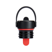 Hydro Flask Standard Flex Straw Sip Lid