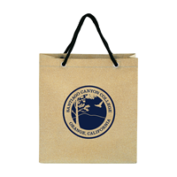 Spirit SCC Seal Glitter Gift Bag