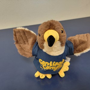 SCC Hawk W/T-Shirt Flockstars